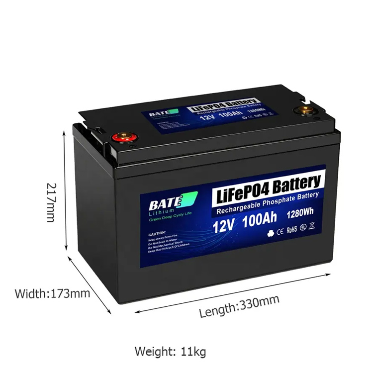 12v 100ah LifePO4 Battery