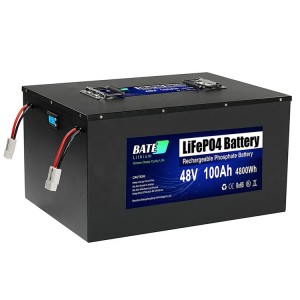 48v 100ah LifePO4 Battery