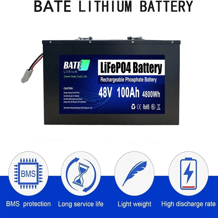 48v 100ah LifePO4 Battery